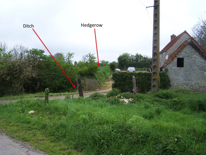 Farm A1 1.jpg