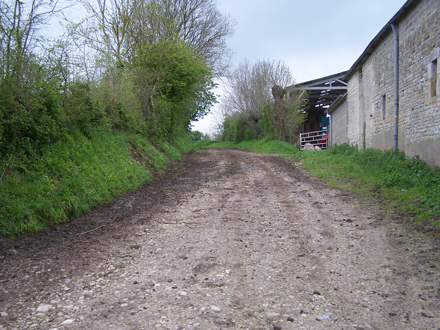 Farm A2 1 copy1.jpg