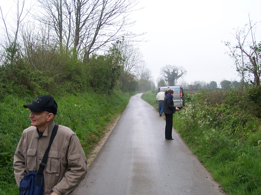 Farm B 1 copy1.jpg