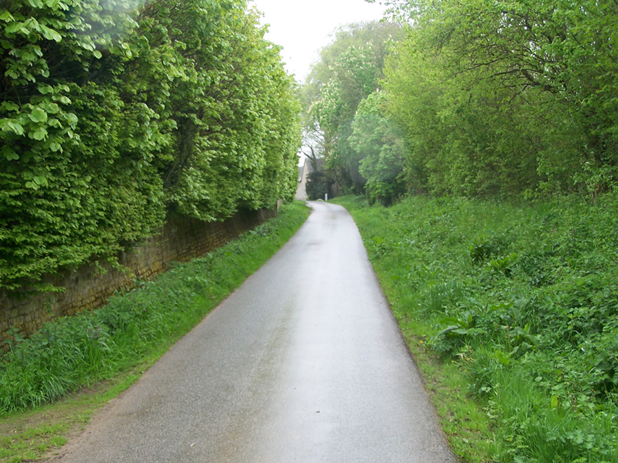 Farm B 2 copy1.jpg