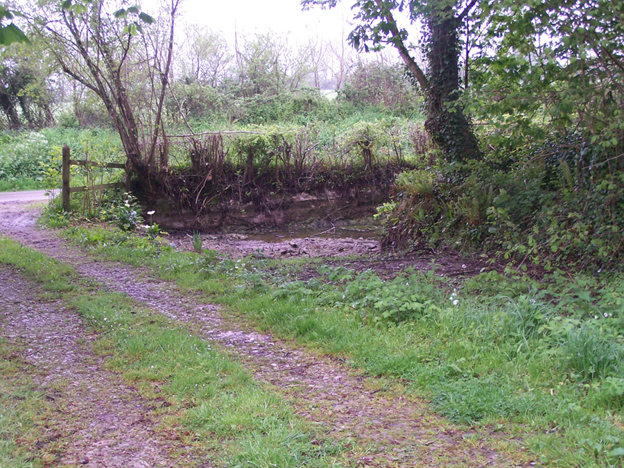 Farm B 4 copy1.jpg