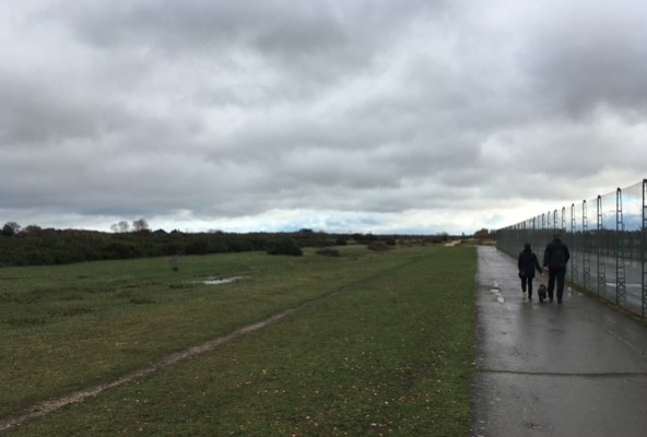 GH Runway 11.png