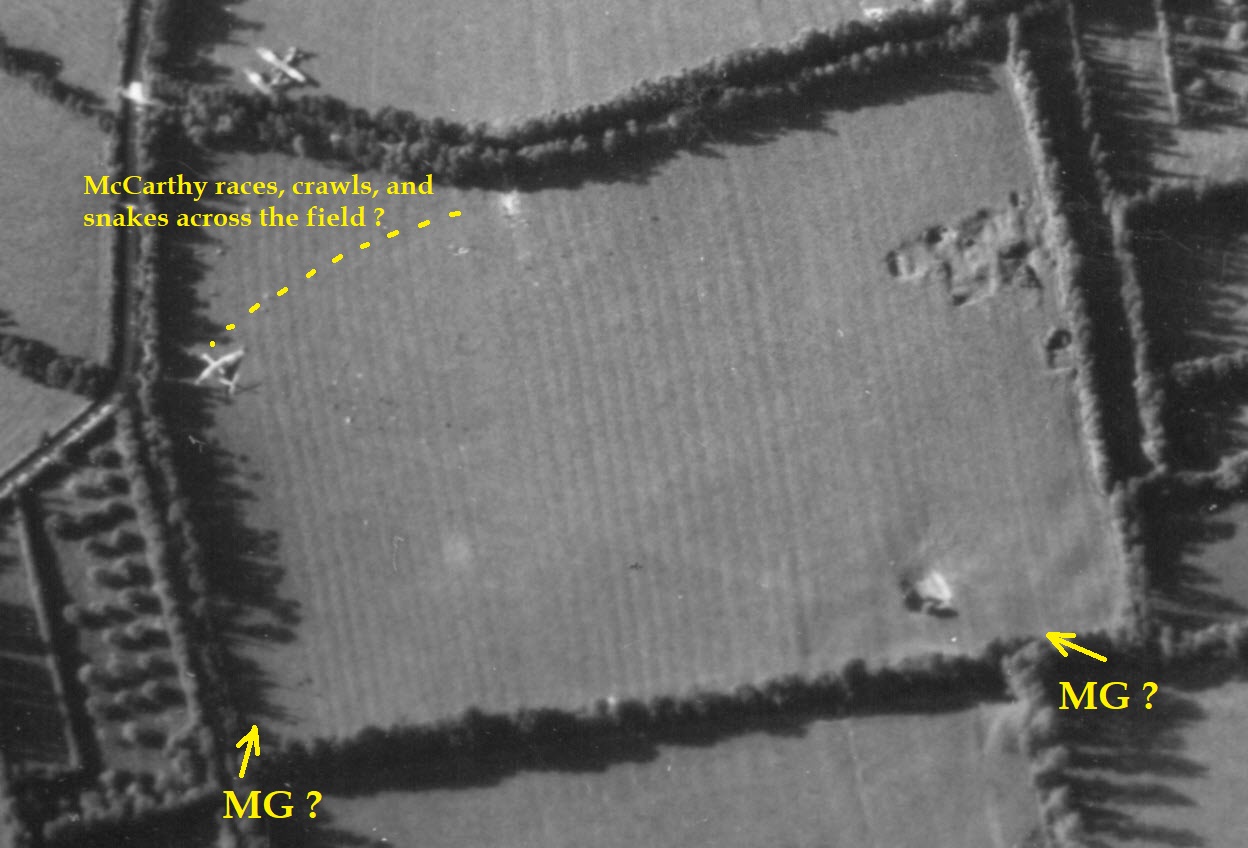 McCarthy field 1.jpg