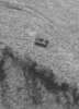 capture_03.PNG