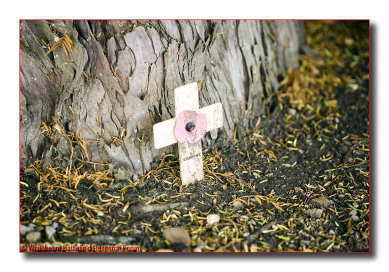 EEJ0077_cross_base_of_yew_graignes_churchyard