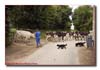 EEJ0062_evening_milking_at_brecourt_manor