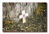 EEJ0077_cross_base_of_yew_graignes_churchyard