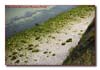 EEJ0138_shingle_beach_below_pointe_du_hoc